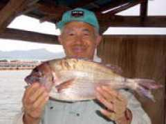 daiwakankou.jp Shikamoto