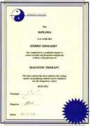 worldofmagnets.co.uk Shimadry