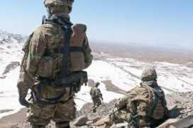 blog.thenewstribune.com Shinkay