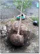 outland.co.jp Shirakashi