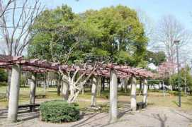 tsukubapress.com Shirakashi