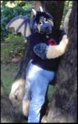 Shirik