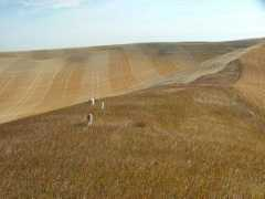 personal.palouse.net Shkoda