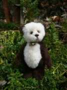 lesbears.com.au Shnook