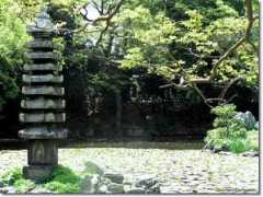 Shosei