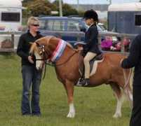 Showteam