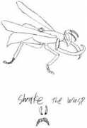 Shrake