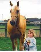 horse-genetics.com Shulay