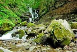 kolochava.com Shypit