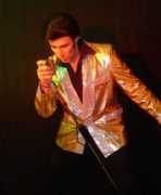 elvisly-yours.com Siberini