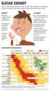 infografika.wp.pl Sienny