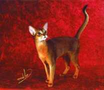 abyssinianbc.org Sillins