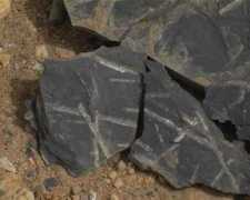 northafrica.de Silurian