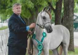 Silvereen