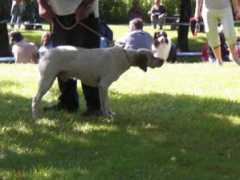 braquedubourbonnais.info Simadri