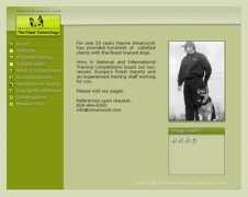 bright.dlancer.net Simanovich