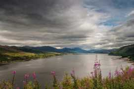 fineartamerica.com Simanovsky