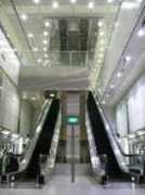 bugbitten.com Singaporian