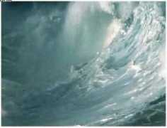 poemasecores.com Singra