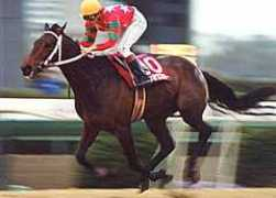 lead-horse.net Sinhori