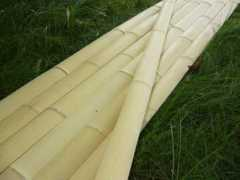 ro.naturtrend.com Sipca
