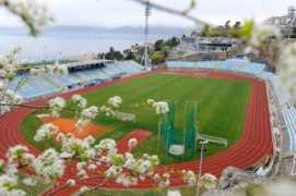 novilist.hr Sirotich