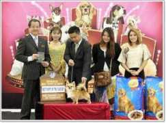 thailanddogshow.com Siwakorn