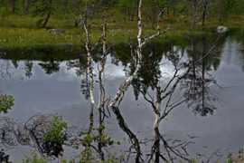 finn-land.net Skainer