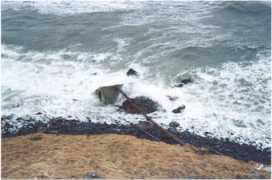 hvammstangi.ismennt.is Skard