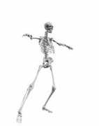 vampyreverse.com Skelington
