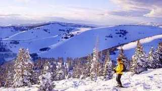 pvprop.com Skipic