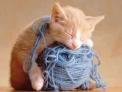 Sleepy