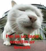 erroraccessdenied.com Smellin