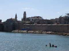 Smigiera
