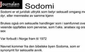Sodomi
