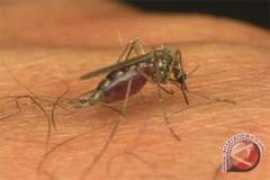 antaranews.com Soeradji