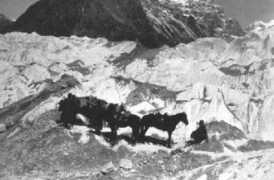 mannerheim.fi Solassa