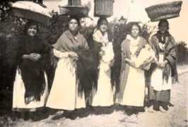 prof2000.pt Solposto