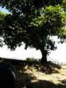 objetivocomunitat.lasprovincias.es Solysombra