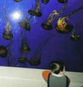 universalpreschool.com Somekid