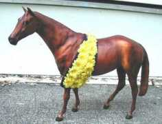 ponylagoon.muerte.net Sonador