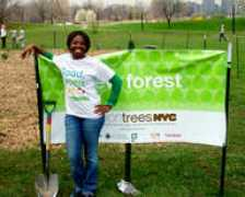 milliontreesnyc.org Sondah