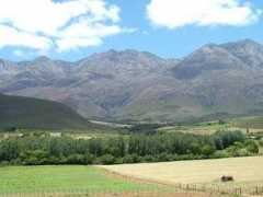 Sondela