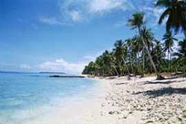 dankainmicronesia.com Sorlen