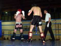 freecombat.com Sorzi