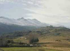 Sotalbo