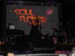 Soulflower
