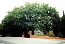 lungomarecastiglioncello.it Sovita