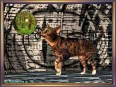lynescreations.com Spacecat