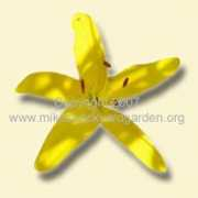 mikesbackyardgarden.org Spacious